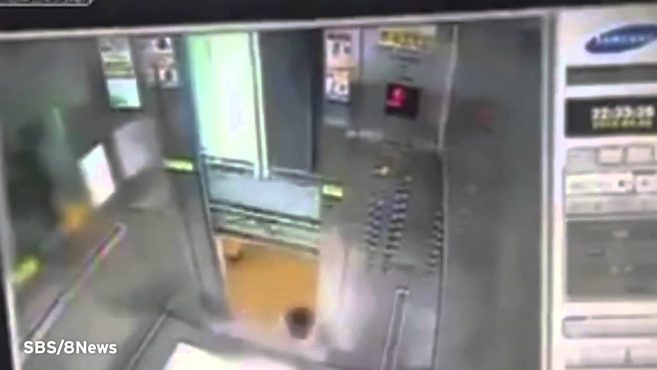 Ta marrësh apo jo ashensorin?! (Video)