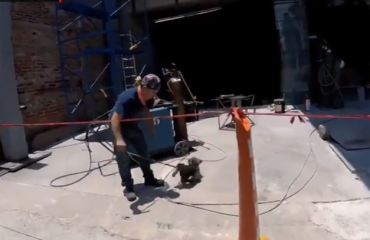 Meksikë, rrezikon jetën për të shpëtuar qenin e tij (Video)