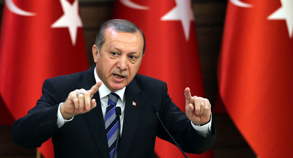Erdogan, Gjermanisë: Mos ndërhyni në punët tona të brendshme