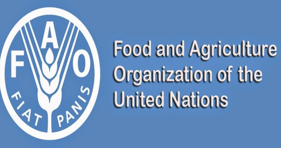 FAO urges authorities in Albania to vaccinate cattle