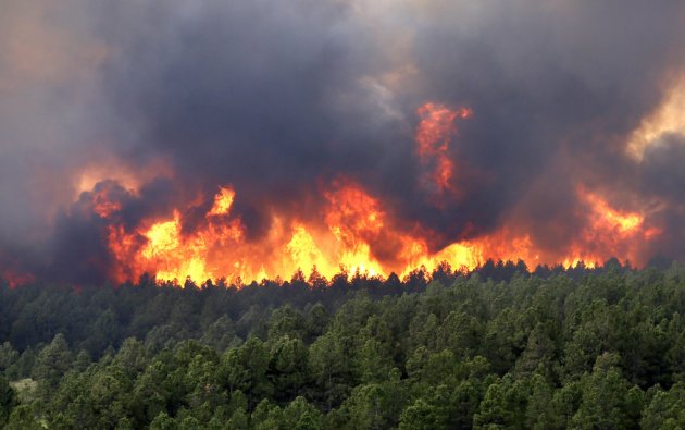 Zjarr i madh në Patos, autoritetet: Situata është kritike