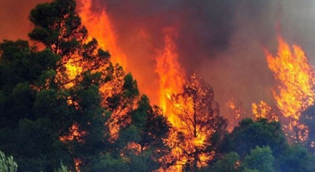 8 vatra zjarri në mbarë vendin, terreni thyer favorizon flakët
