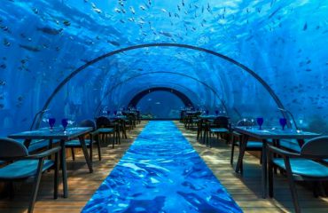 Ky është restoranti më i madh në botë nën ujë, të ushqehesh duke soditur koralet oqeanike