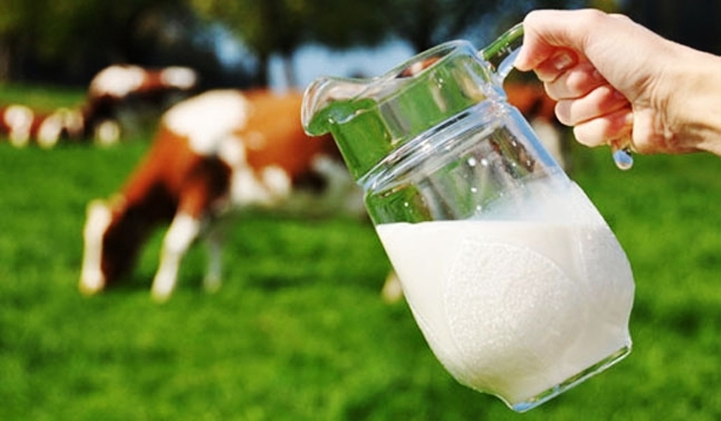 Analizat, qumështi i dëmshëm, ministri Peleshi: Ja masat që do të merren