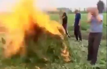 VIDEO–HUMOR/ Si e djeg hashashin polici shqiptar